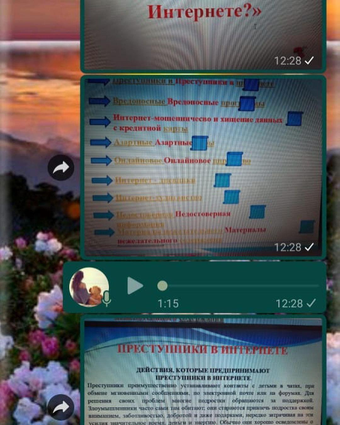 "Интернет : плюсы и минусы", " БезОпасный интернет"