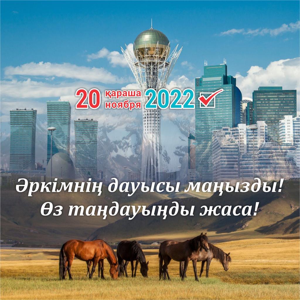 20-қараша кесектен тыс сайлау